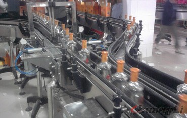 安徽含山運(yùn)漕酒廠（塑鋼板鏈輸送）